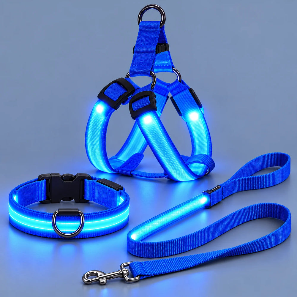 LumaWalk LED Night Full Walk Kit