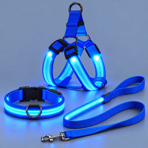 LumaWalk LED Night Full Walk Kit