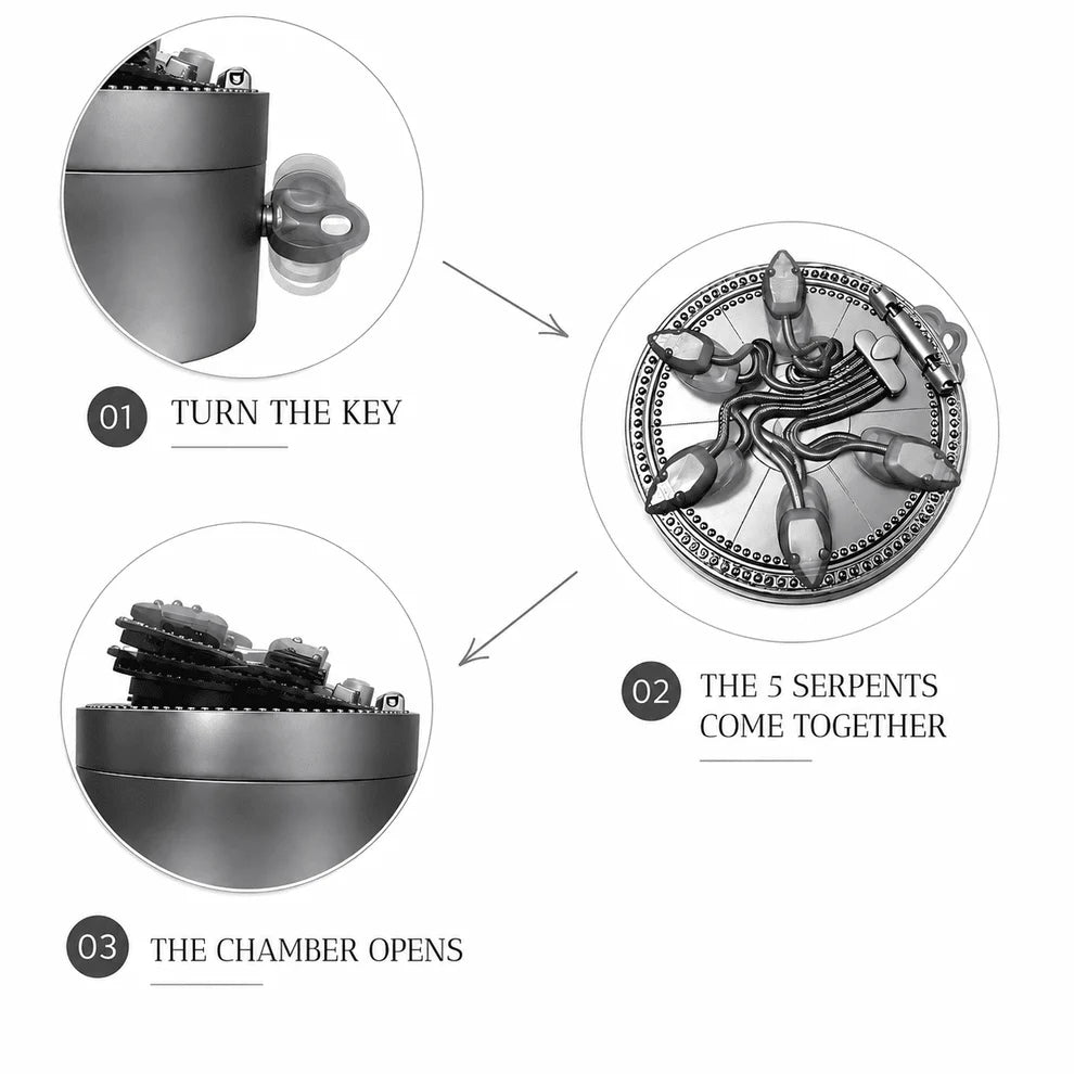 Secret Ring Box