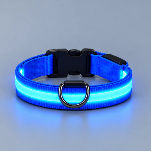 LumaWalk LED Collar