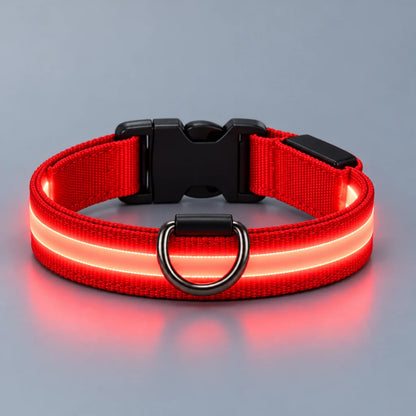 LumaWalk LED Collar
