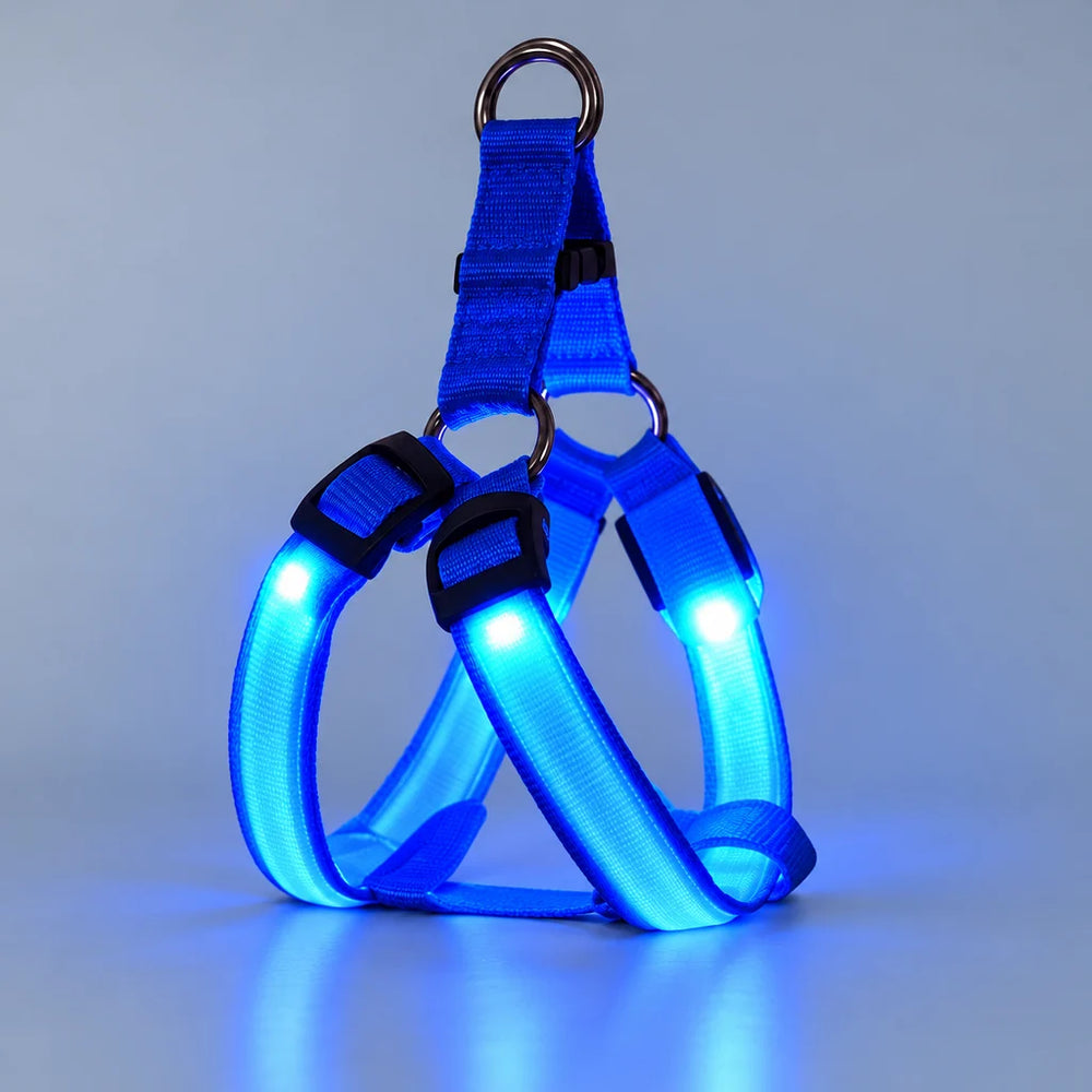LumaWalk LED Harness