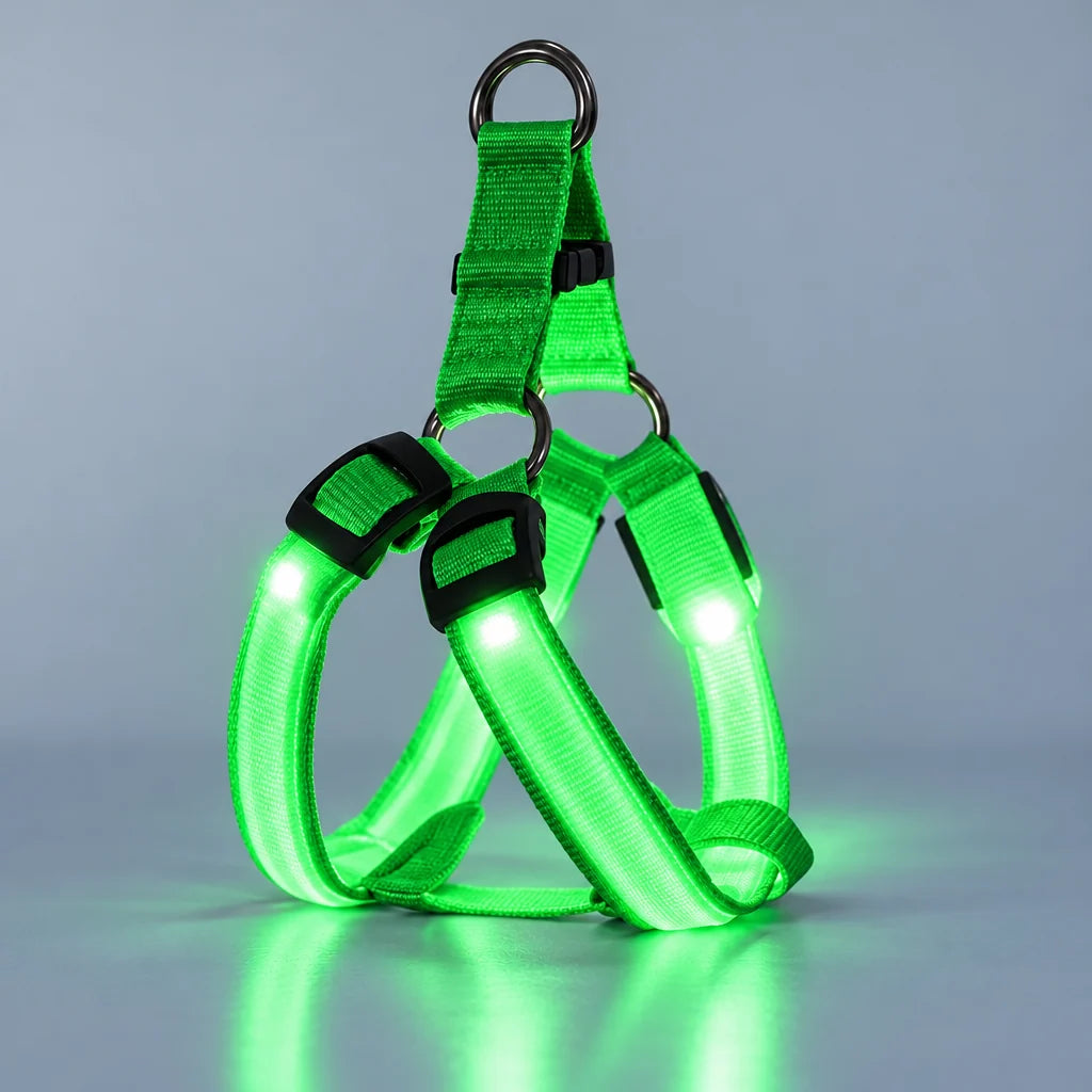 LumaWalk LED Harness