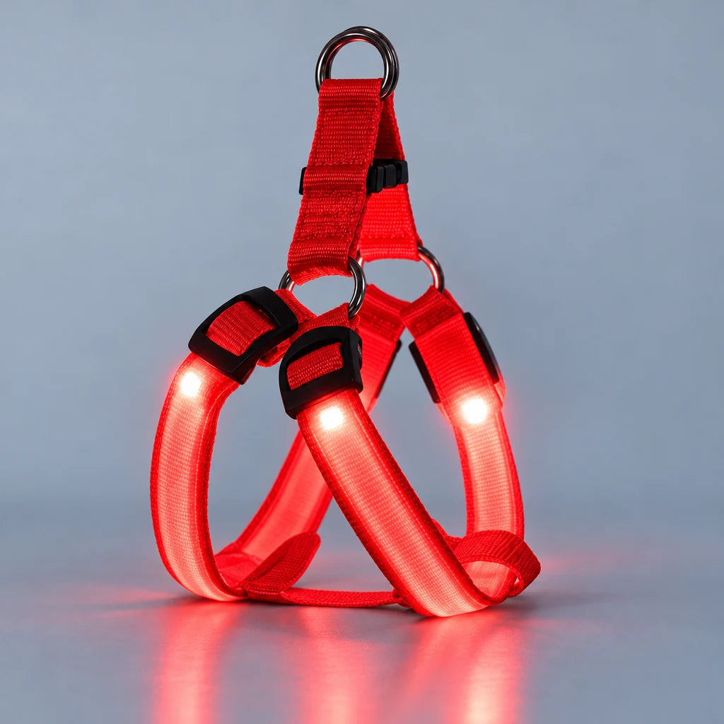 LumaWalk LED Harness