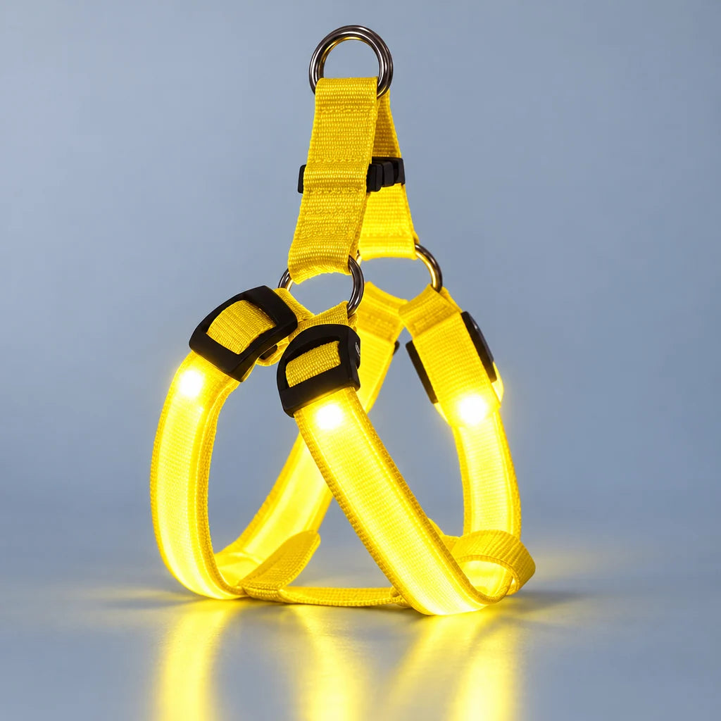 LumaWalk LED Harness