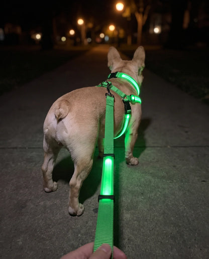 LumaWalk LED Harness