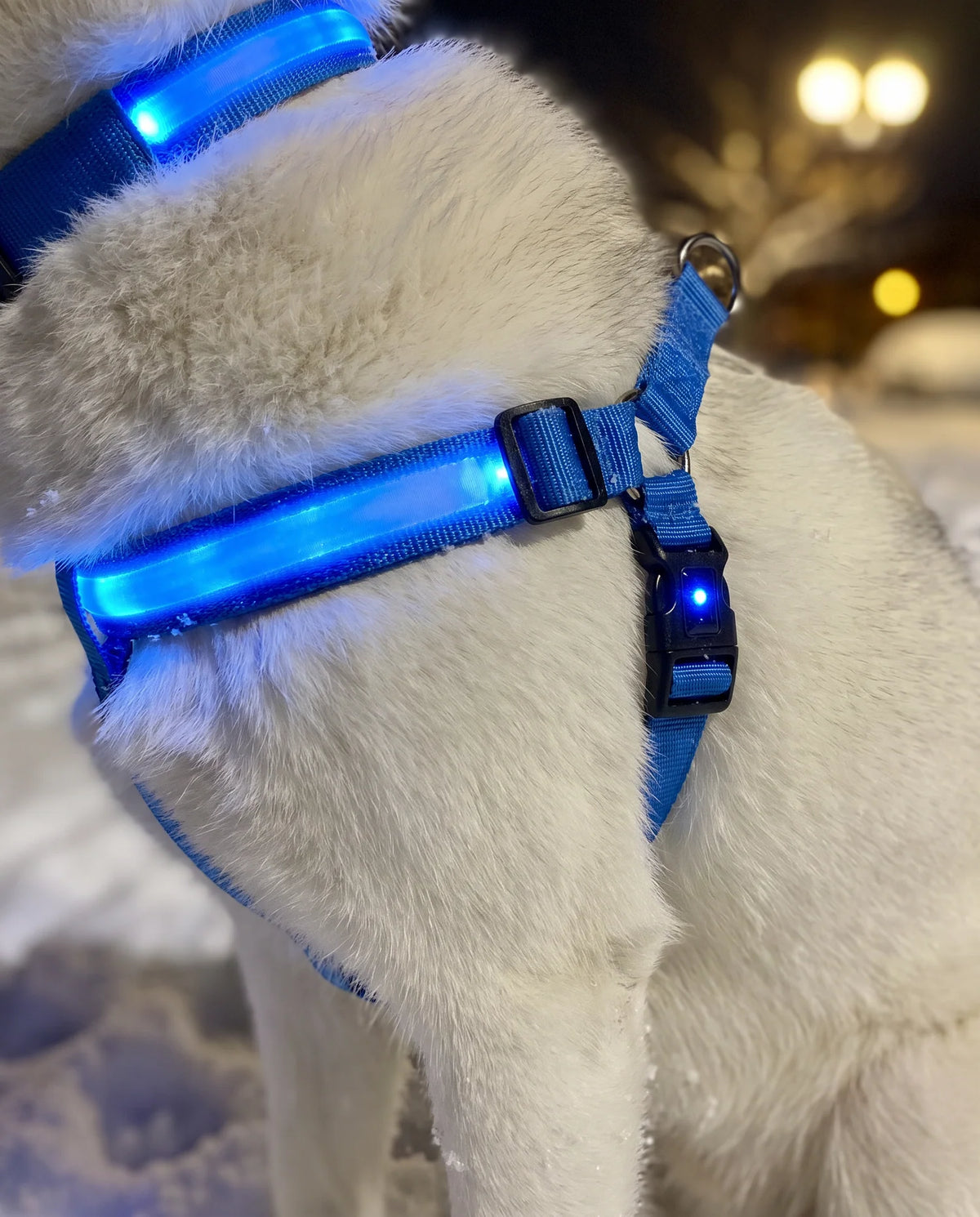 LumaWalk LED Night Full Walk Kit