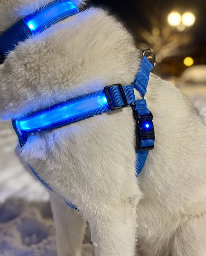 LumaWalk LED Night Full Walk Kit