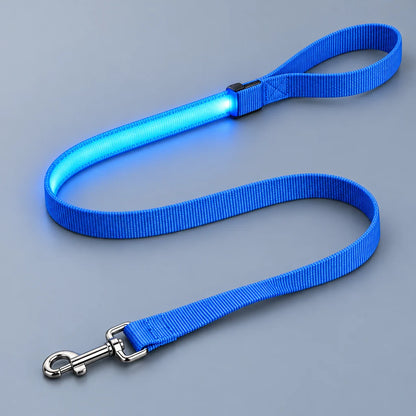 LumaWalk LED Leash