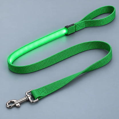 LumaWalk LED Leash