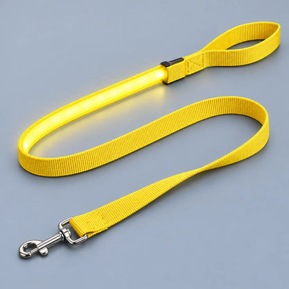 LumaWalk LED Leash